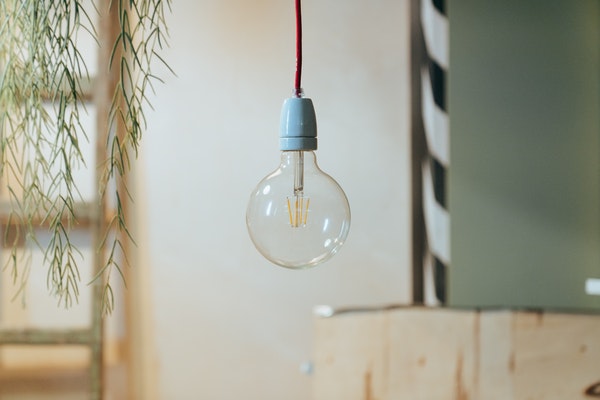 lightbulb hanging from a wire in a room with a plant