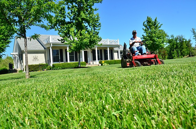 lawn care on tenants